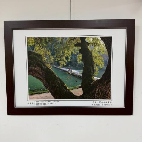 07.麗水仙湖景區