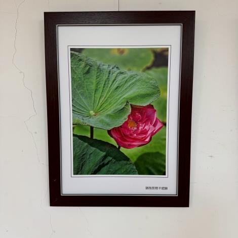 01.猶抱琵琶半遮臉